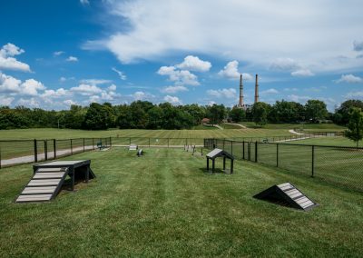 Wide grassy park with dog agility equipment in the foreground, fences around, and two tall smokestacks visible on the horizon under a blue sky.